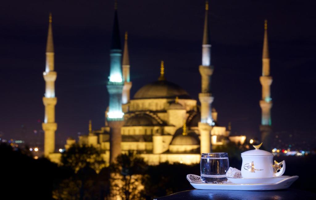 Hotel Perula Istanbul Sultanahmet - Fatih - Halal-Musulman-Turquie- 12