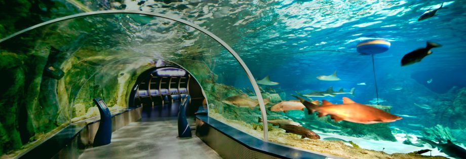 Aquarium d'Istanbul-Hotel Turquie 