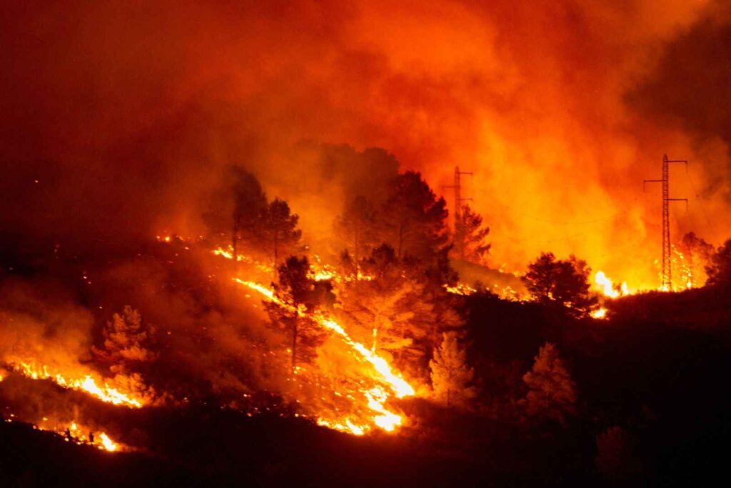 Incendies de forêt en Turquie- Hotel Turquie