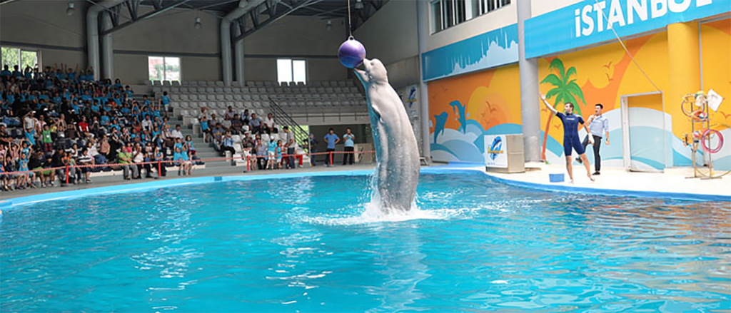 Centre d'exposition des dauphins du delphinarium d'Istanbul